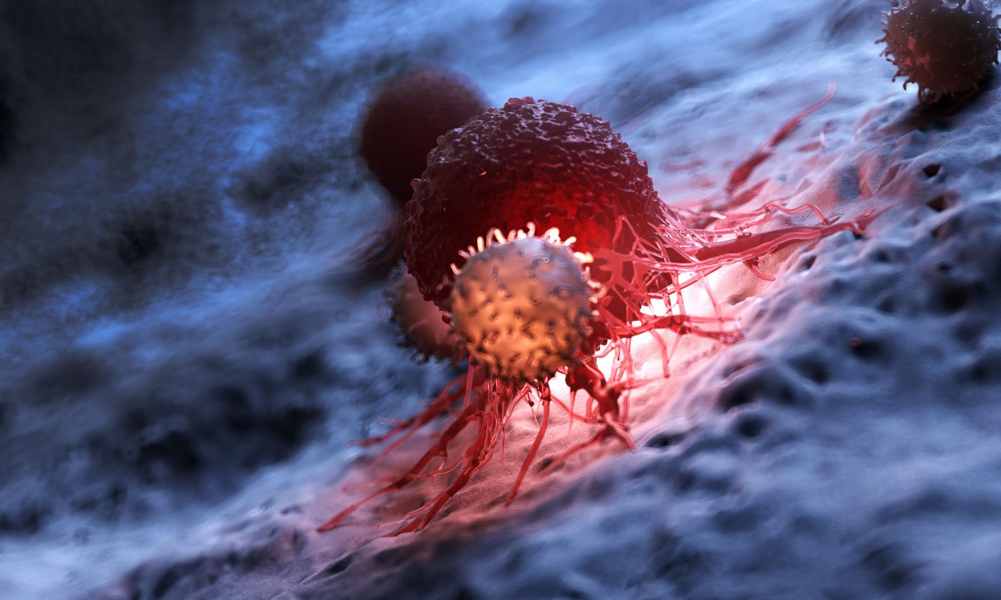 Cancer T Cell