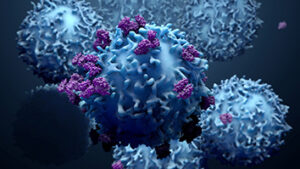 Engineered helper T cell could become a cancer killer