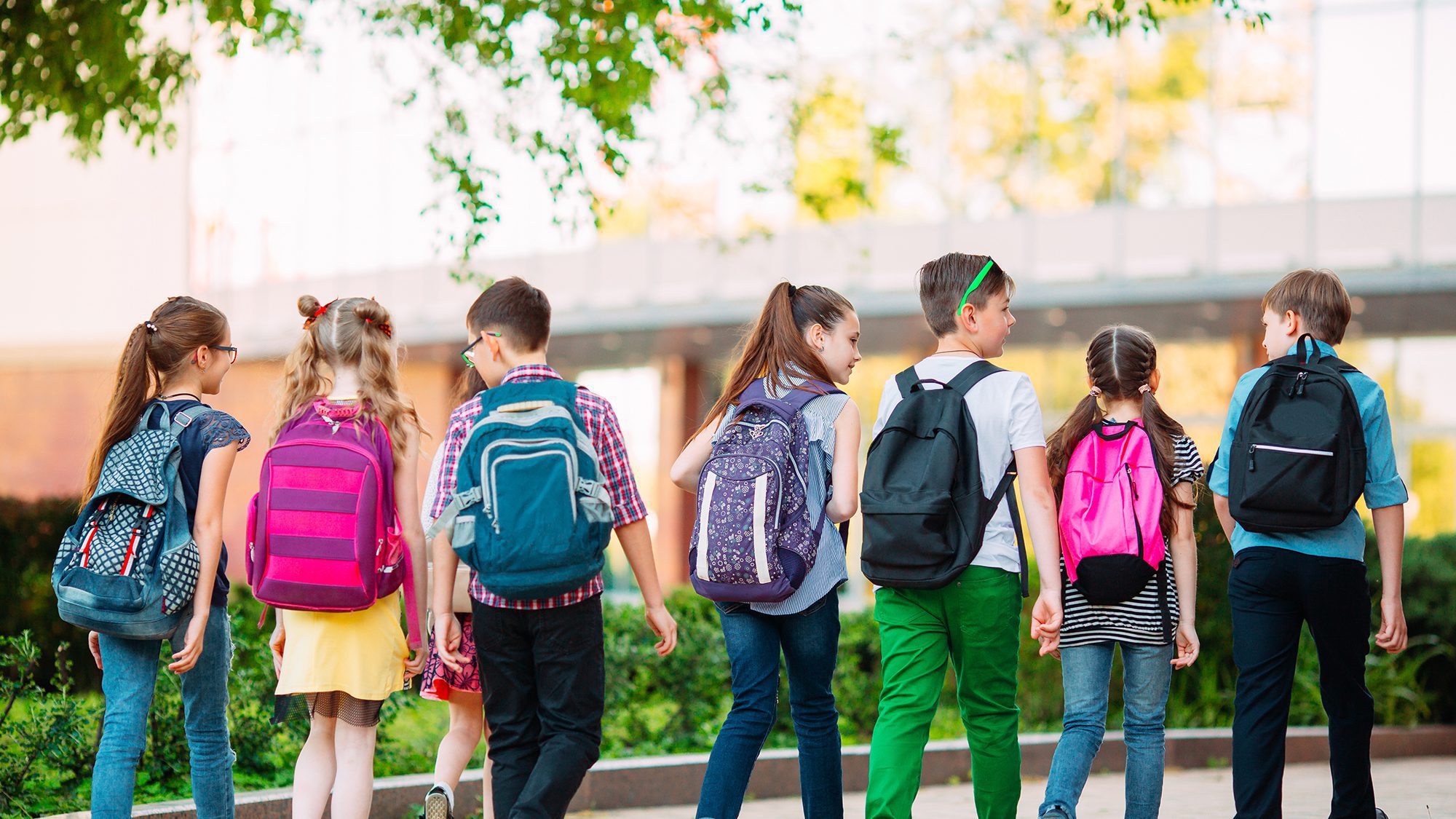 National Effectiveness Study of First Step to Success
